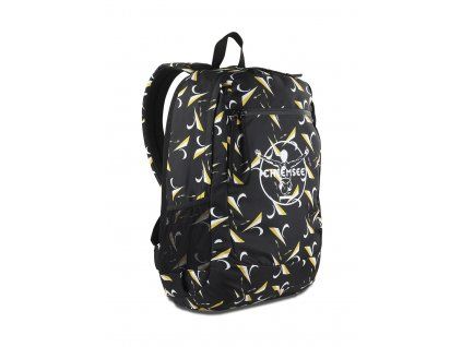 CS60100301 frontside
